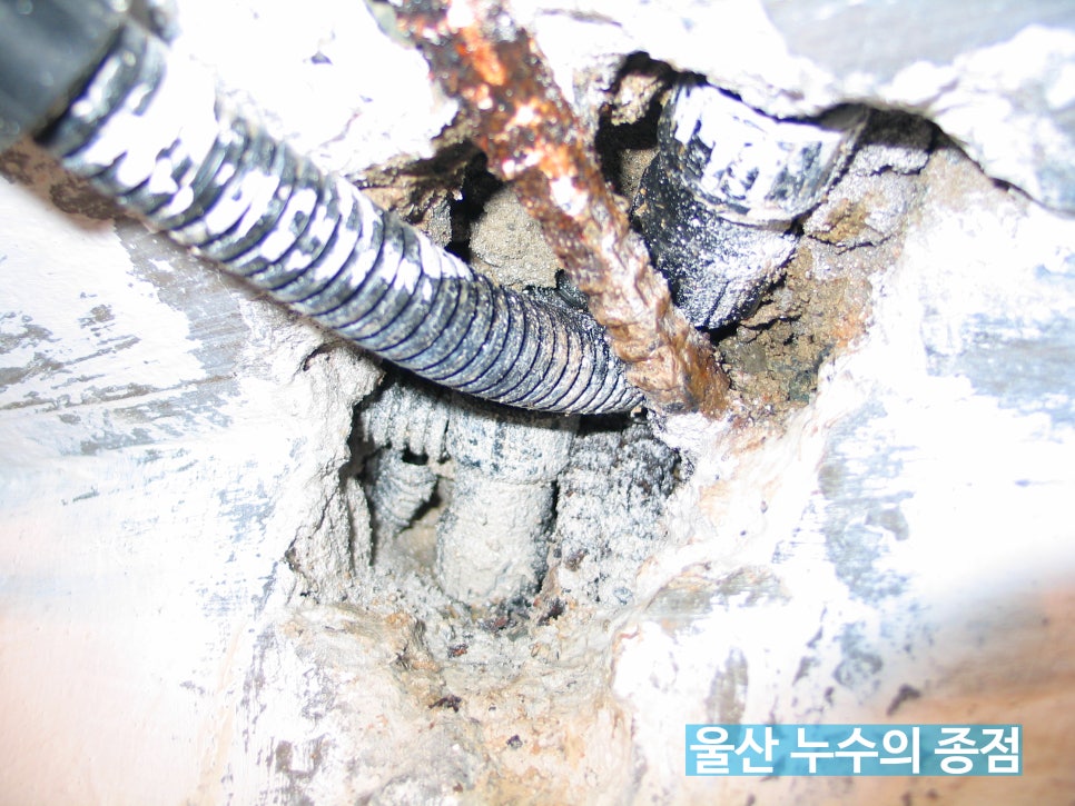 한진주유소 이미지