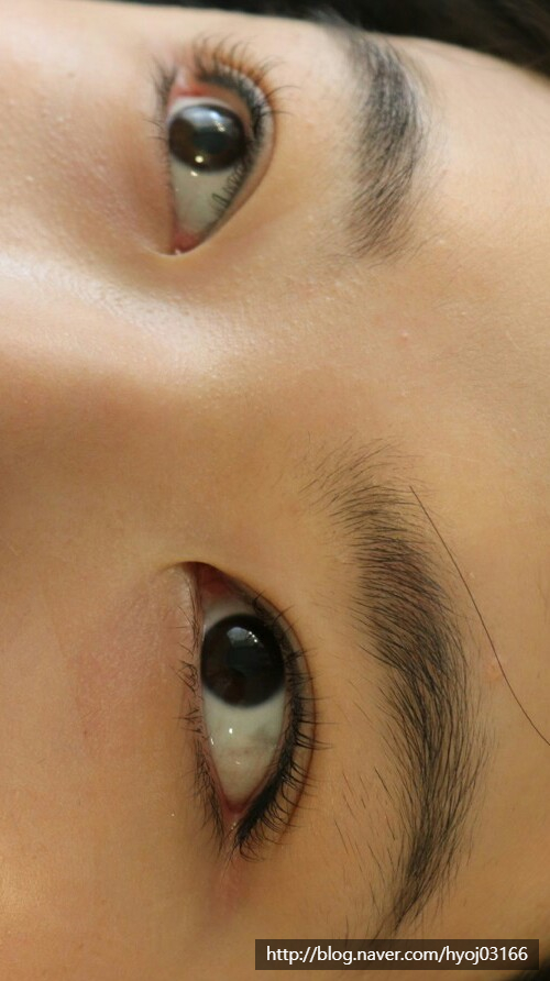 살롱드스노우 이미지