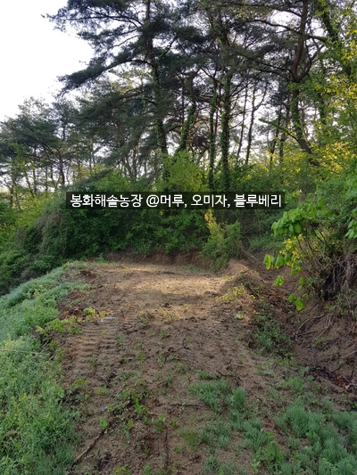 농장닭집 이미지