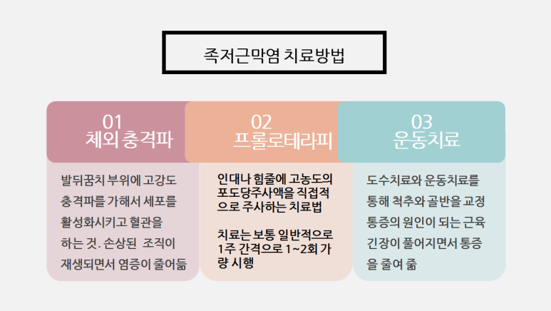 바로세움 이미지