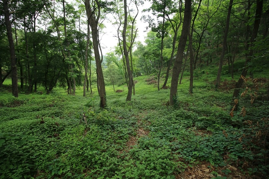 도담길 사진 8