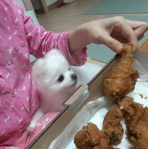 한입만 이미지