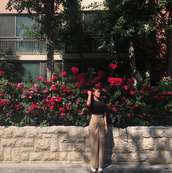 하나넷 이미지