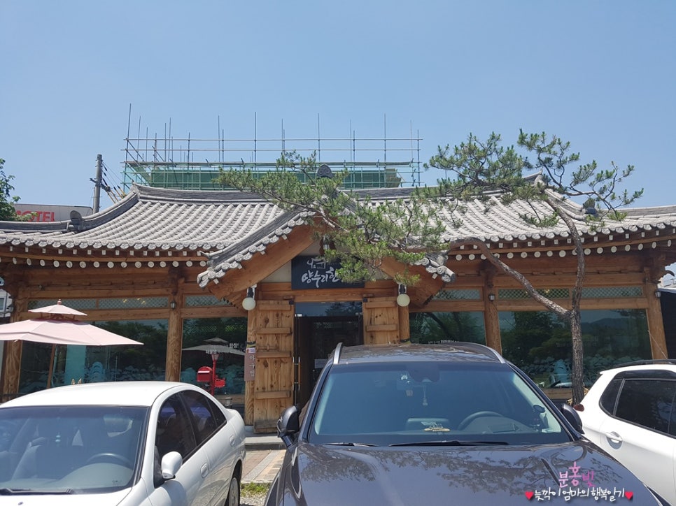 한옥양과 이미지