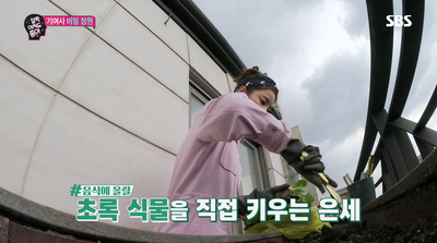 프레쉬프룻 이미지