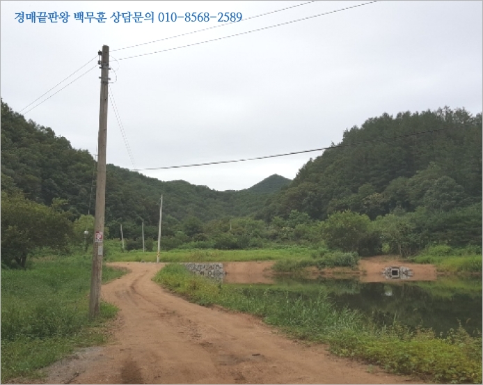 광판리 이미지