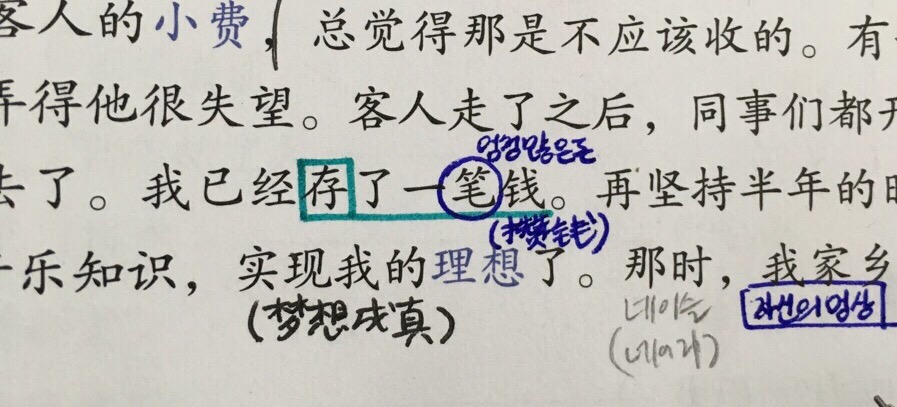 코네이스 이미지