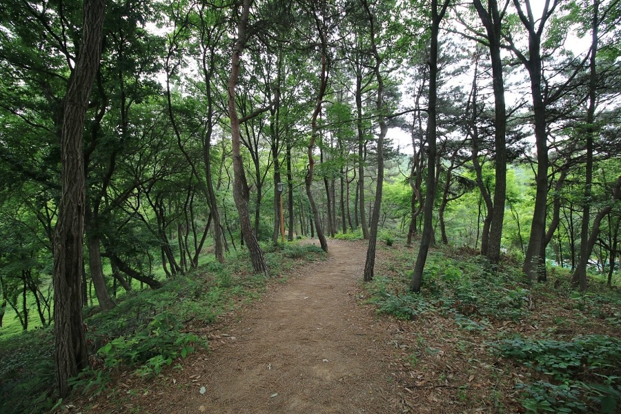 도담길 사진 7