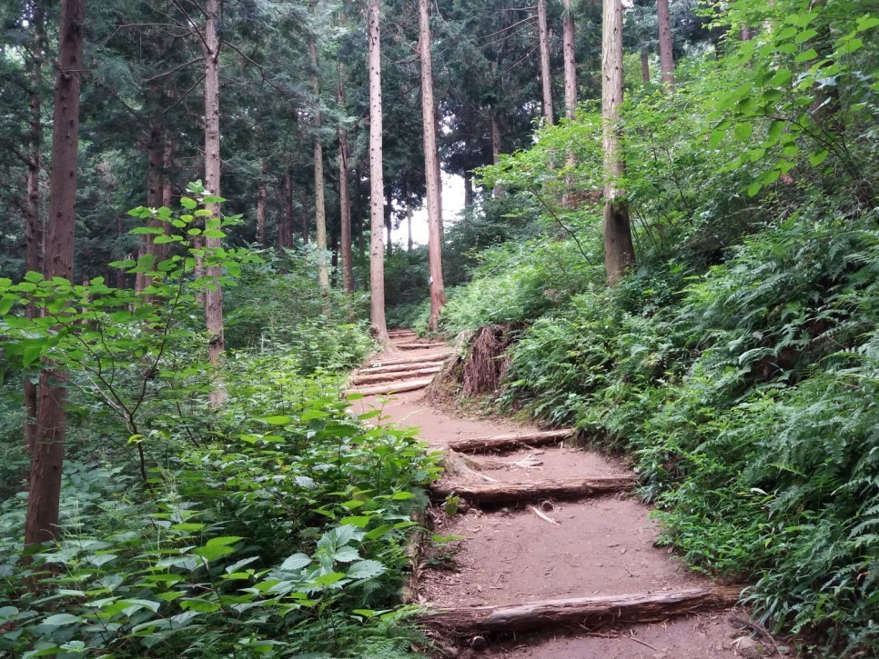 콜핑부산 이미지