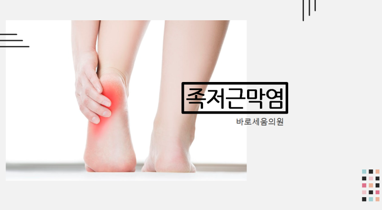 바로세움 이미지