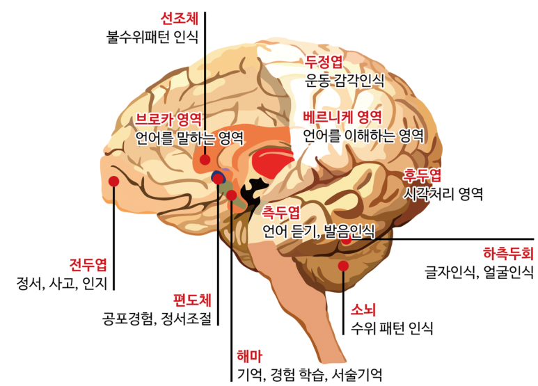 첨단인지학습센터 이미지