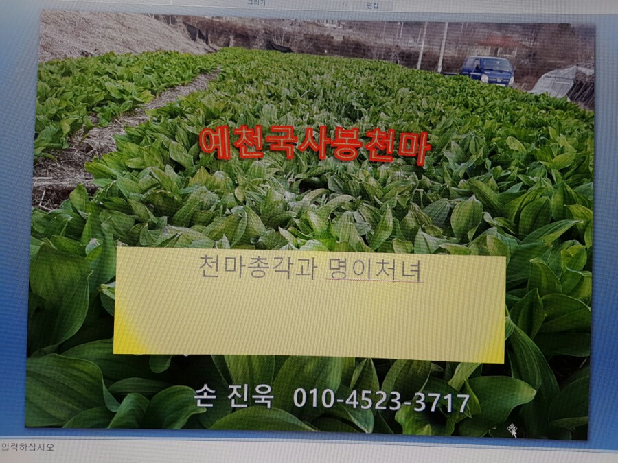 천마총각과 명이처녀 이미지