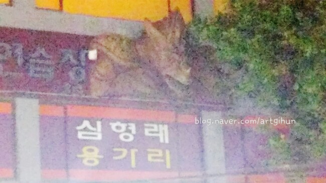 용가리노래방 이미지