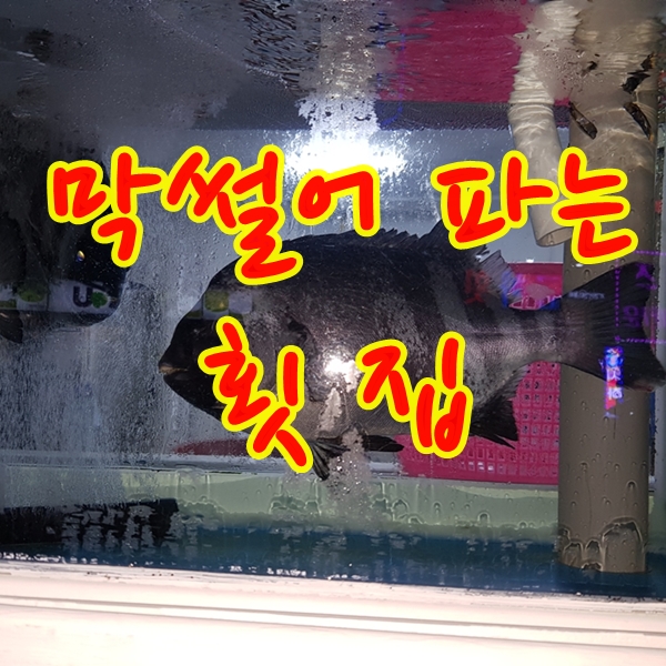 막썰어회초장집 이미지