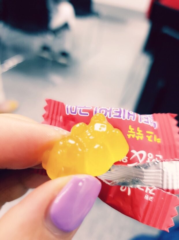 토야 이미지