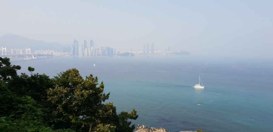 삼정상사 이미지