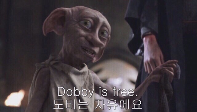 톤키 이미지