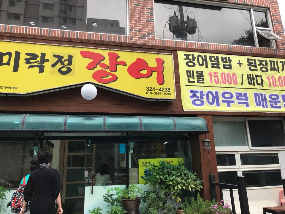 미락정장어 이미지