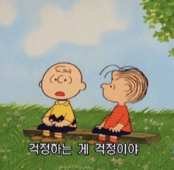 리즈스튜디오 이미지