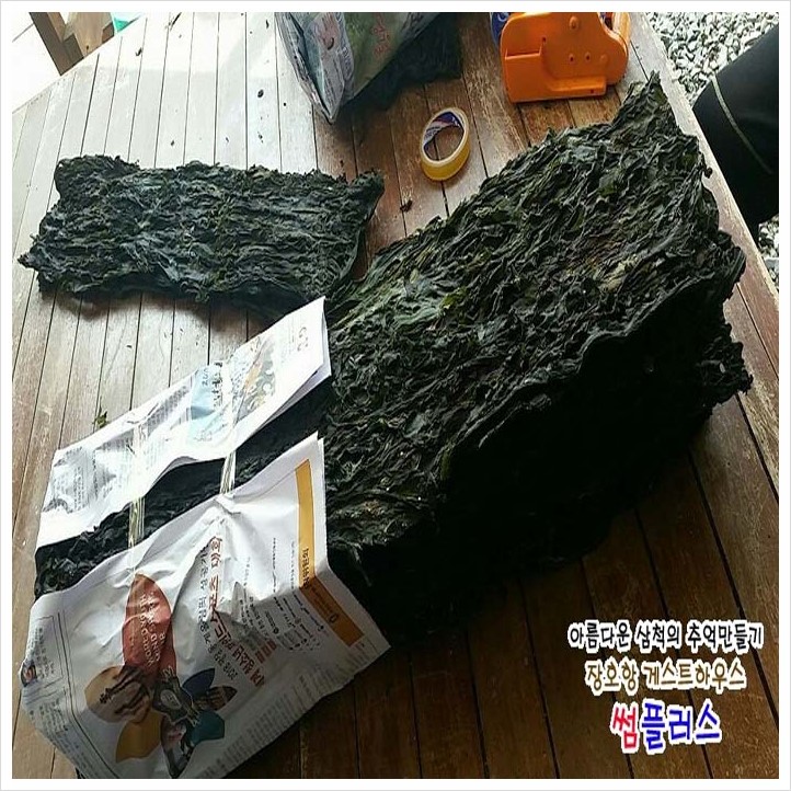 삼척갤럭시 이미지