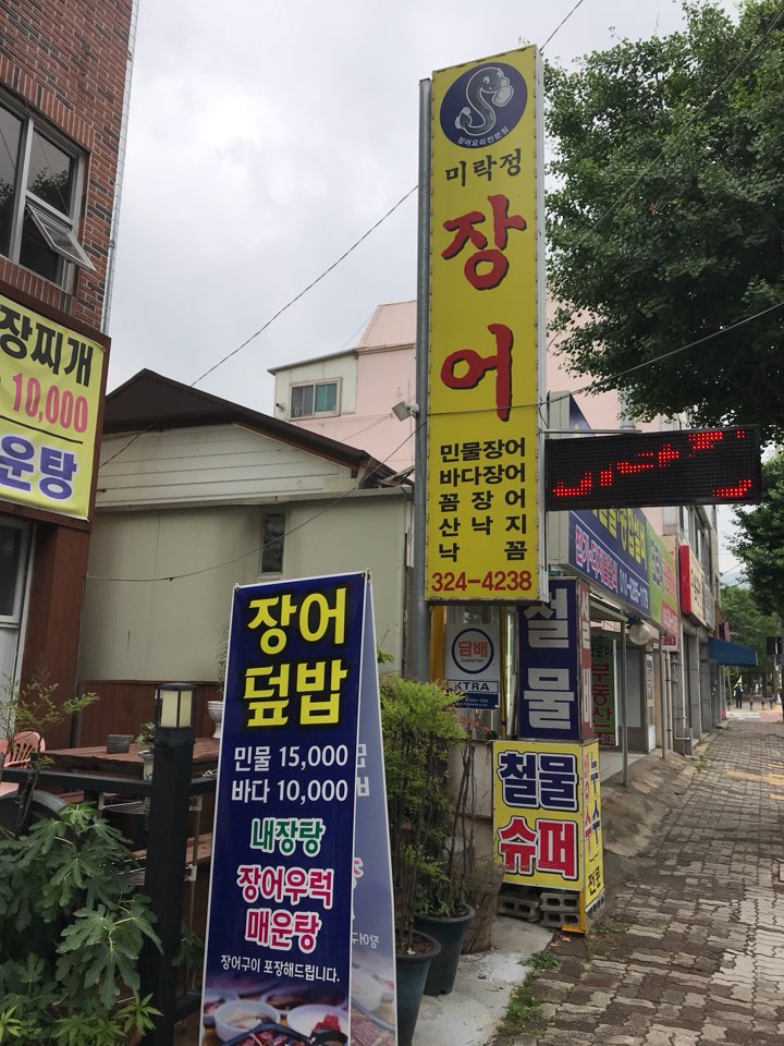 미락정장어 이미지