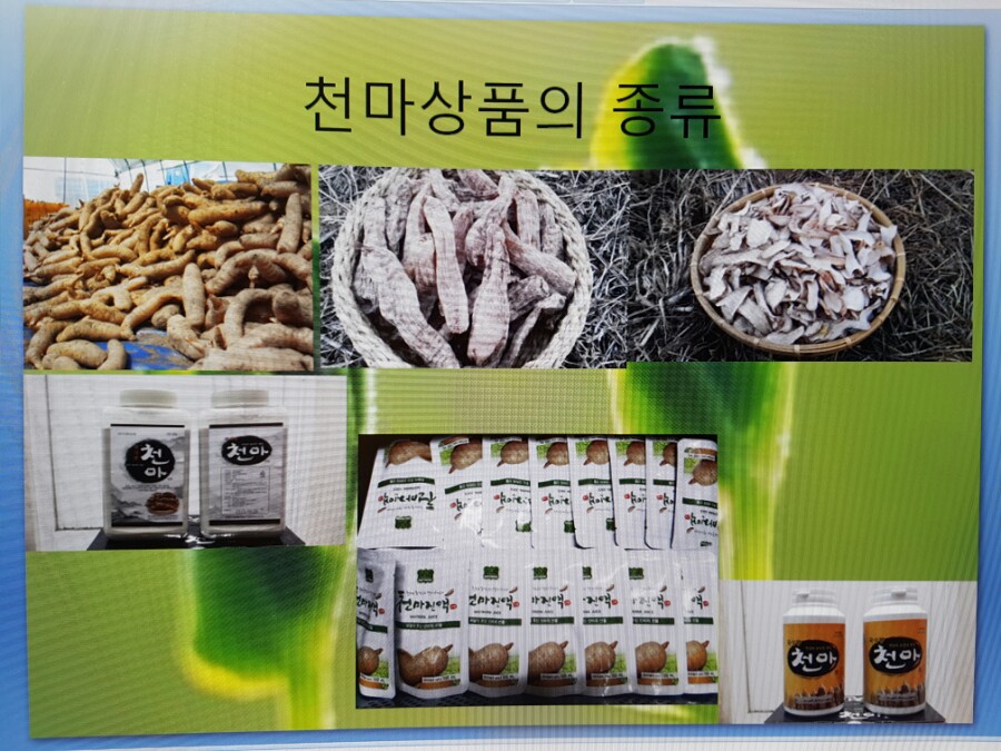 천마총각과 명이처녀 이미지