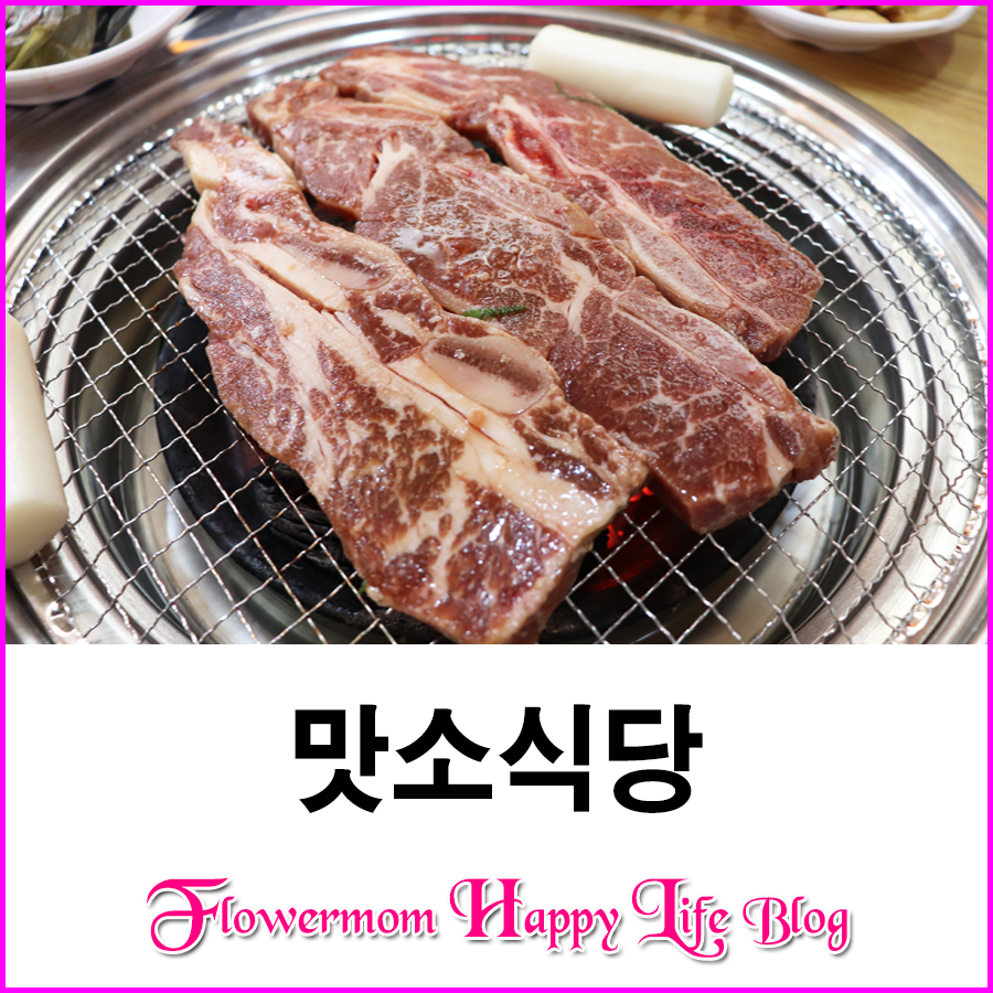맛소식당 이미지