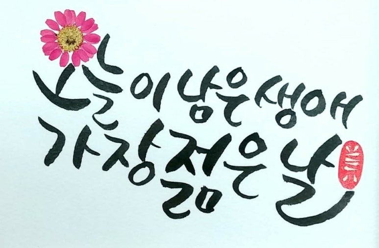 원테라피 이미지