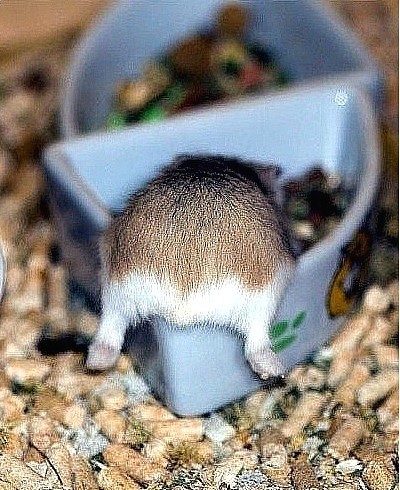 수텔레콤 이미지
