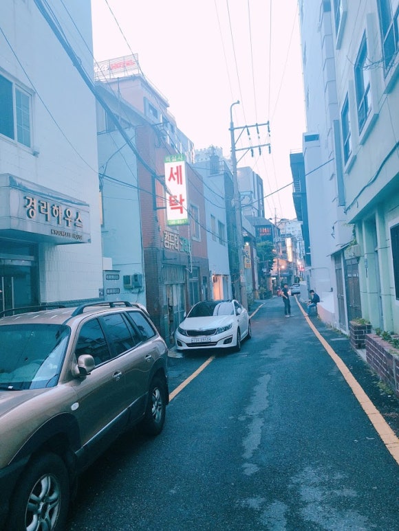 백설사 이미지