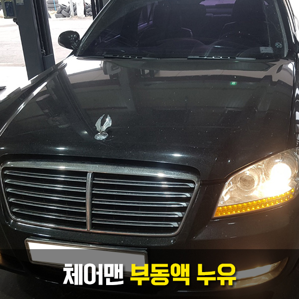 만세모터스 이미지