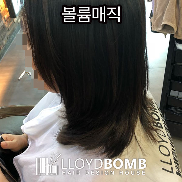 로이드밤 구서점 이미지