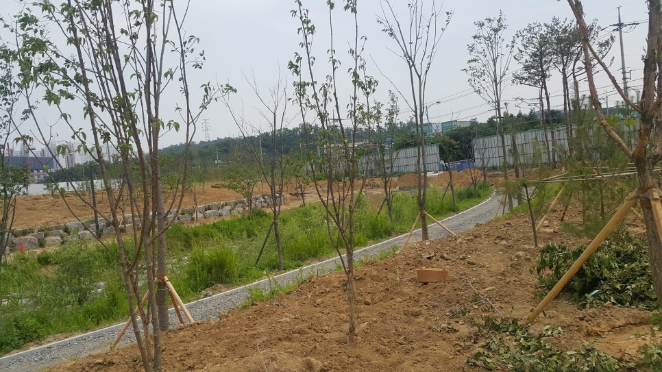 엘에이치조경 이미지