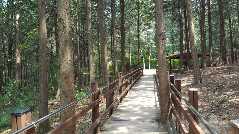 법인봉산권역 이미지