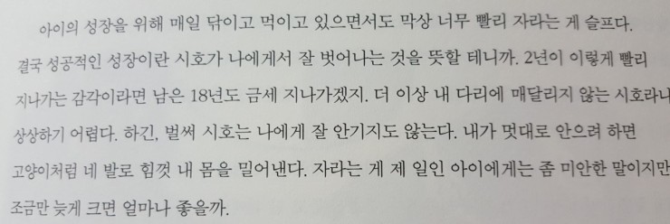 사진관시호일 이미지