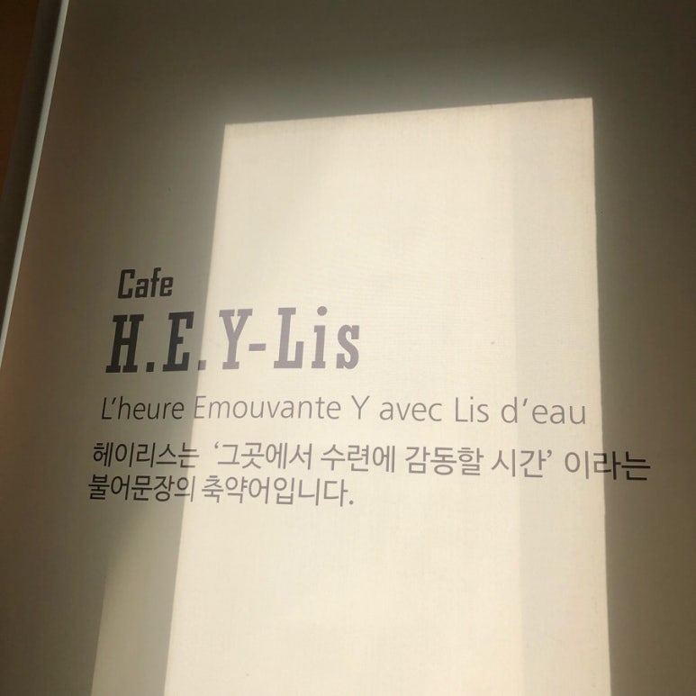 헤이리스 이미지