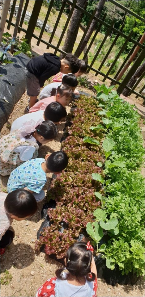 동그라미유치원 이미지