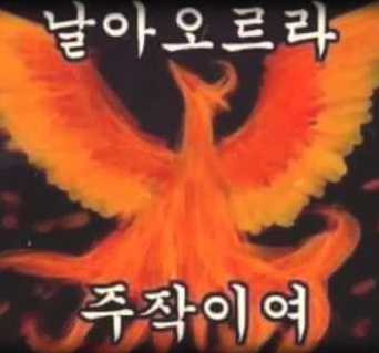 참옻닭 이미지