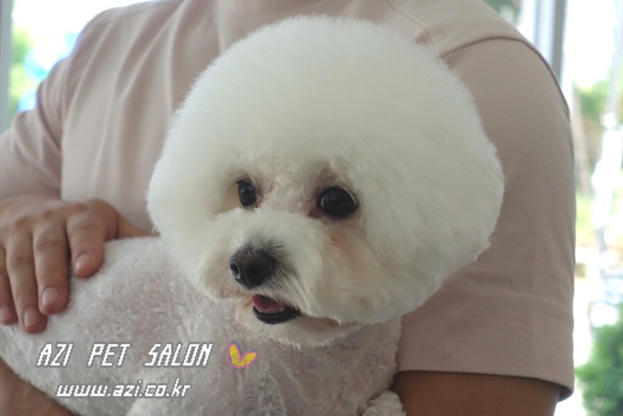 순이살롱 이미지