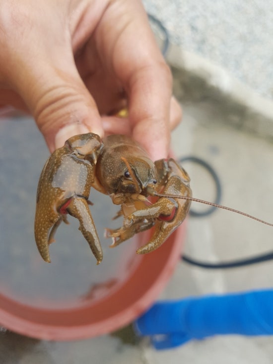 꽃향기펜션 이미지