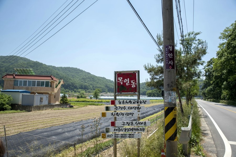 세종시장군승마장 이미지