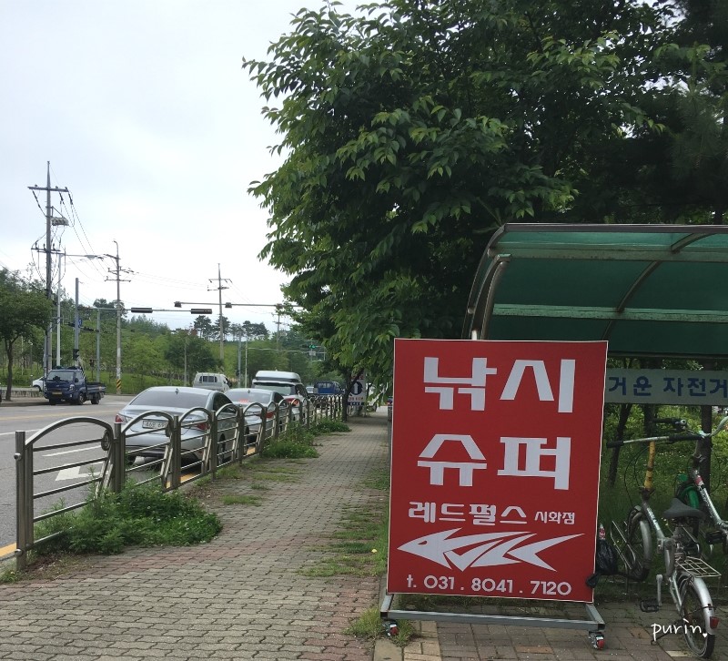 레드펄스시화점 이미지