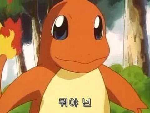 엠제이플레이 이미지