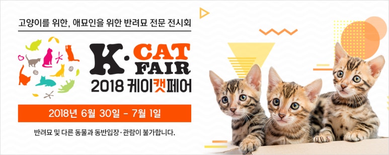 케이네트웍스 이미지