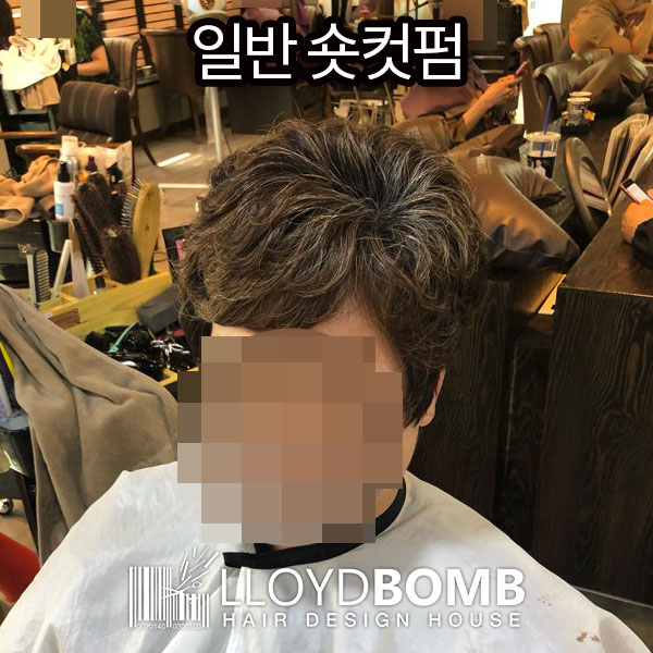 로이드밤 구서점 이미지