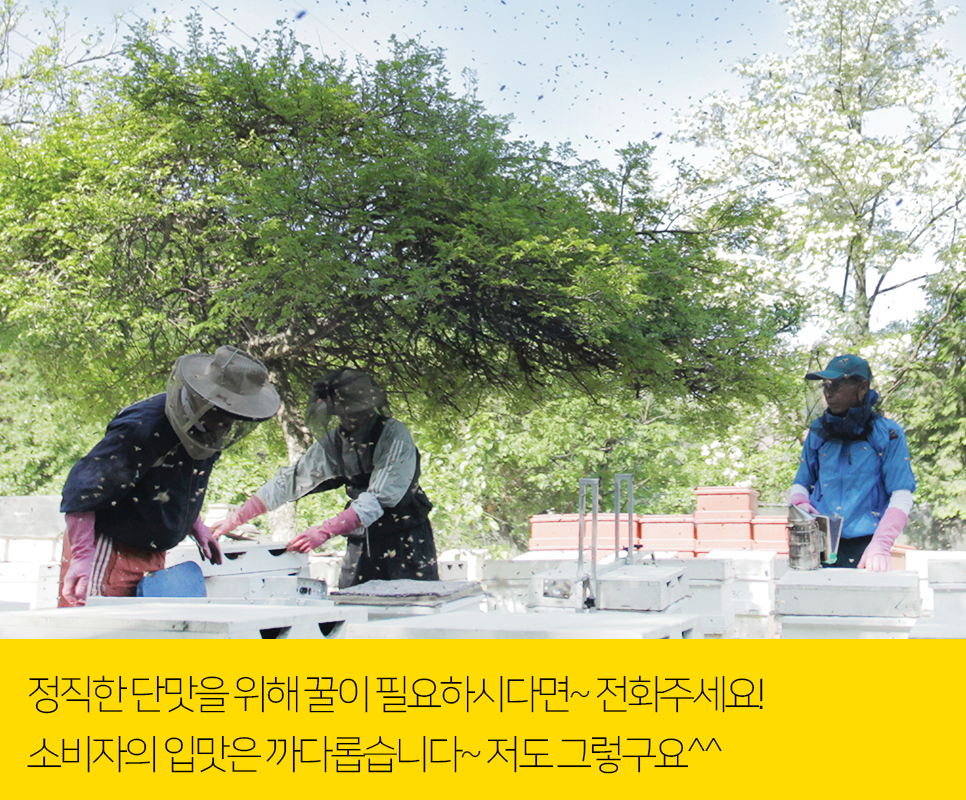 (주)금산고려인삼공사 이미지