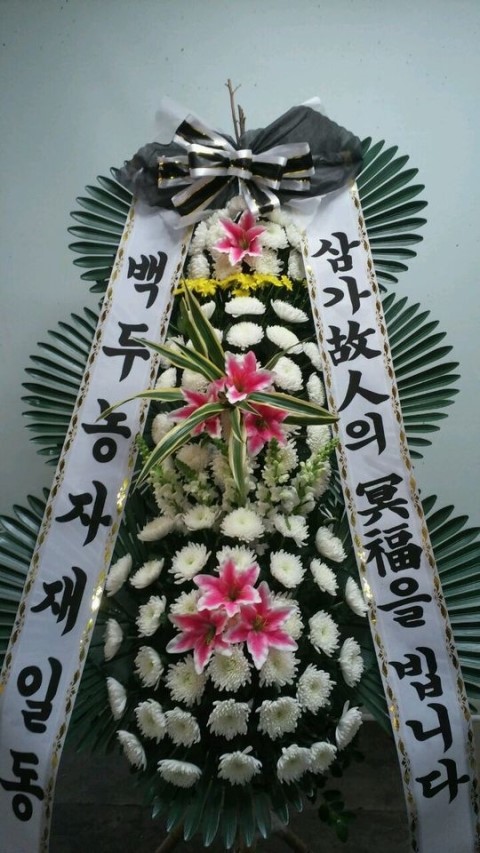 오전꽃농원 이미지