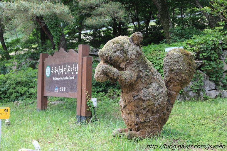 국립운문산자연휴양림 야영장 이미지