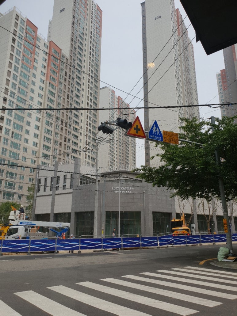 릴리212 이미지