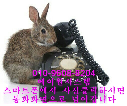 우일시스템 이미지